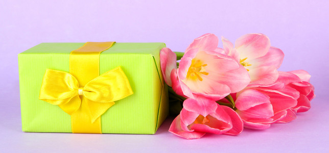 粉红色的郁金香和礼品盒，颜色背景上