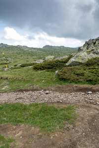 保加利亚索非亚 Cherni Vrah 峰附近的 Vitosha 山景观