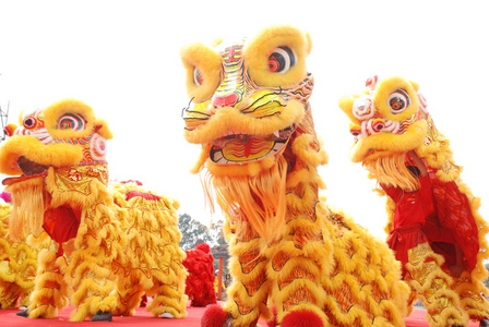 狮子玩中国玩狮子跳舞庆祝新的一年照片