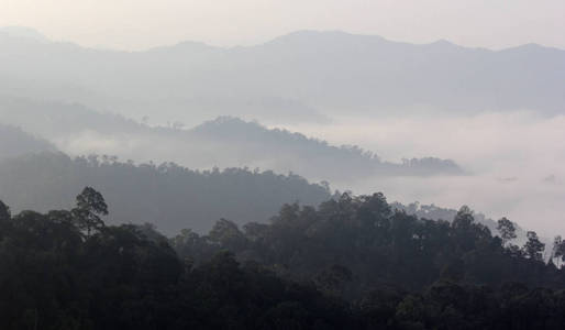 雾山丘陵景观