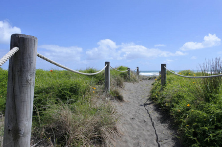 在狮子山海滩新西兰沙丘路径