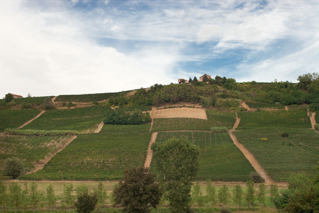 astigiano，山麓，意大利 景观