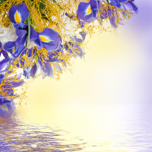 蓝色鸢尾花和白花的花束