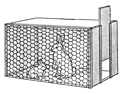 这个插图代表兔笼与两个兔子, 复古线画或雕刻插图