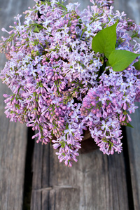 紫丁香花园木桌子上