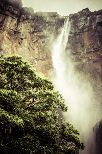 天使瀑布 萨尔托天使 是世界最高的瀑布 978 米 委内瑞拉