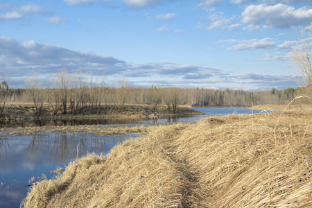 rossiya.prirodny 景观