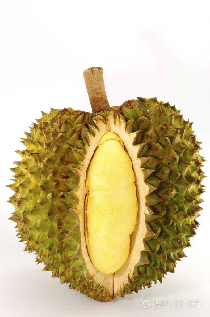 榴莲,东南亚地区隔绝在白色水果之王照片-正版商用图片068672-摄图新