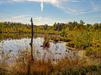 Pietzmoor Scheverdingen 附近的 Lneburg