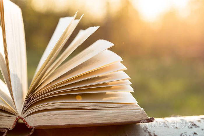 教育与智慧理念户外阳光下的翻开书