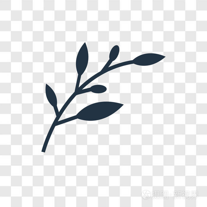 橄榄枝矢量图标在透明背景上隔离, 橄榄枝透明徽标概念