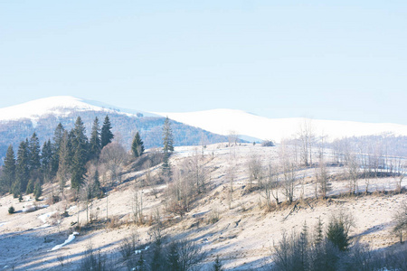冬山景观。山在雪地里。山上的第一场雪。在喀尔巴阡山脉的第一个霜冻覆盖的山草甸暮光