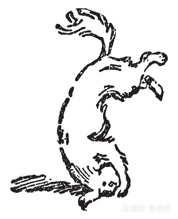 在空中的狗头部接触地面和腿, 复古线条画或雕刻插图