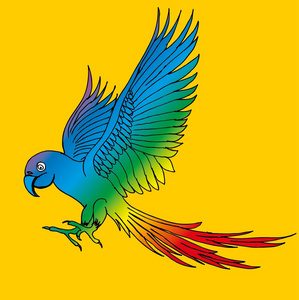 鹦鹉翅膀图片