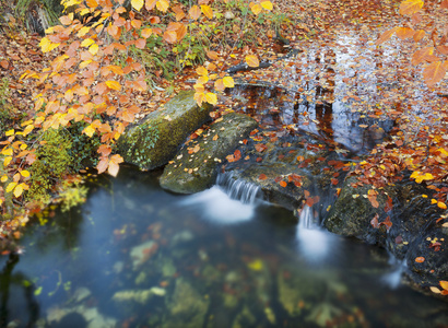 秋季景观与落叶和河
