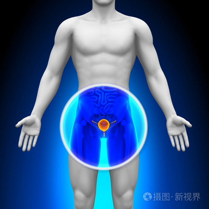 医用x射线扫描膀胱