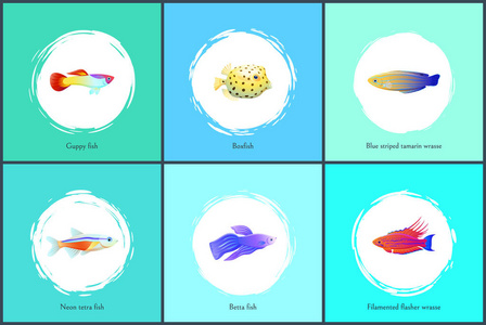 鱼和霓虹利向量例证图片