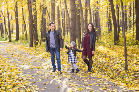 家庭, 秋天, 人的概念青年家庭在公园散步在秋天的日子