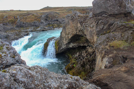 冰岛东北部的野花和瀑布