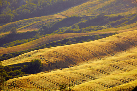 典型的托斯卡纳风景，意大利的风景视图