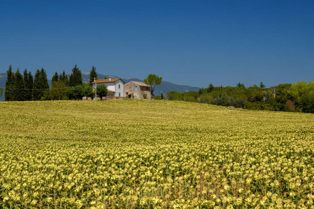 夏季翁布里亚 意大利 典型农场