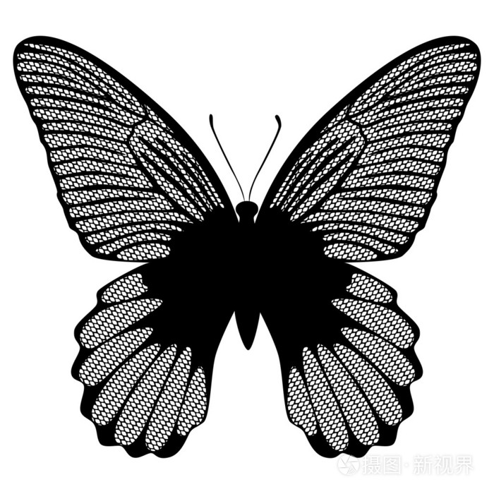 黑色蕾丝蝴蝶在白色背景上的矢量