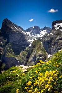 山风景