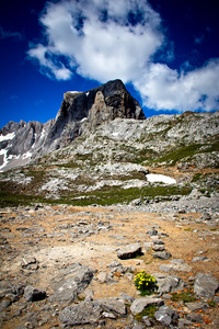 山风景