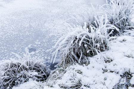 冬天与雪和灰白色霜