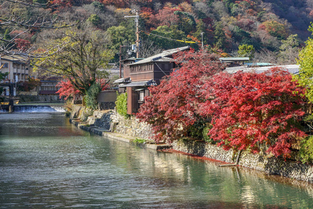 日本的叶子颜色变化