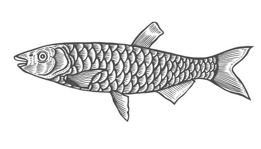 手绘熟食图片-手绘熟食素材-手绘熟食插画-摄图新视界