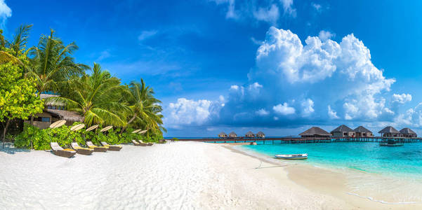 夏季日马尔代夫热带海滩木日光浴全景