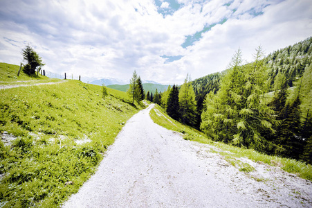 蜿蜒的尘土路径在奥地利风景与森林领域牧场地和草甸。复古风格