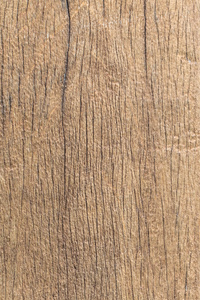 木板裂纹图片-木板裂纹素材-木板裂纹插画-摄图新视界