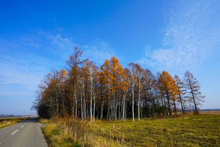 北海道秋季景观