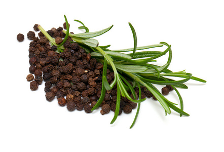 迷迭香种子图片