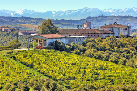 冷若冰霜的山丘图片