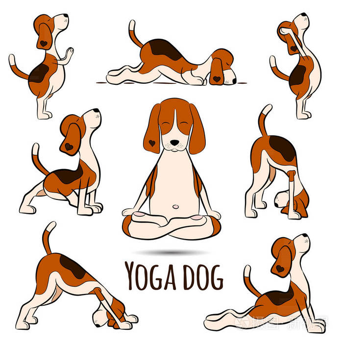 独立卡通滑稽狗猎犬做瑜伽姿势.拜日.圣称呼.猎犬向量例证