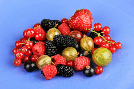 成熟的莓果蓝色背景图片