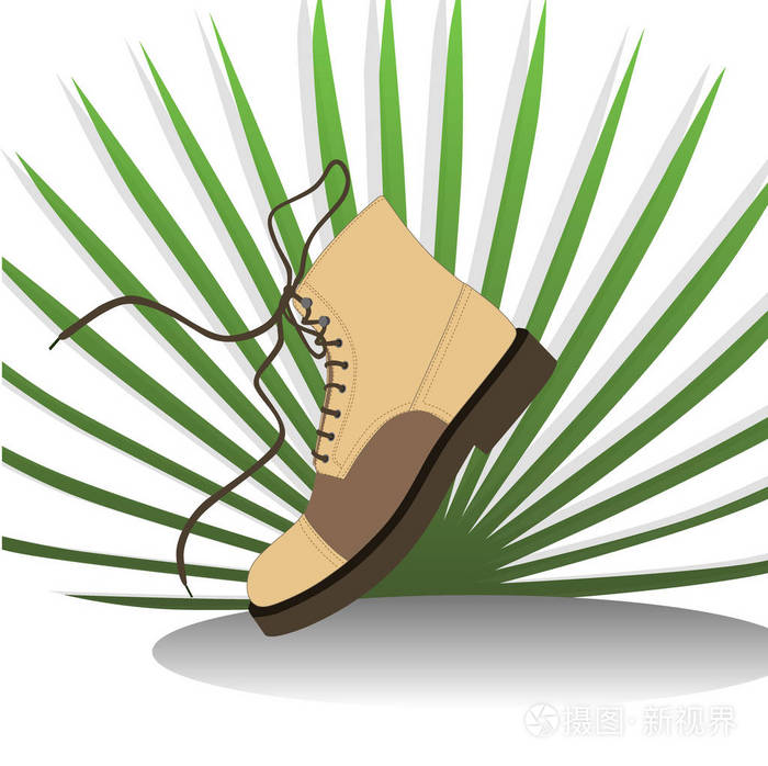 鞋在棕榈叶背景。矢量插图