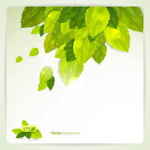 矢量背景与时尚组成的绿色的树叶