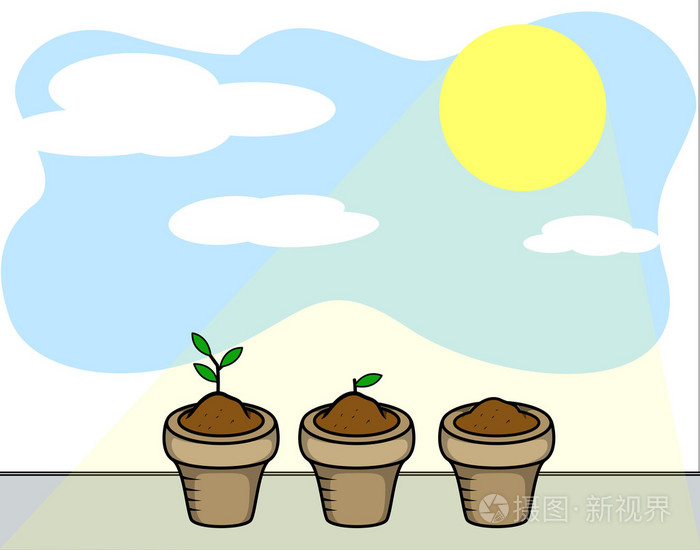 植物和阳光