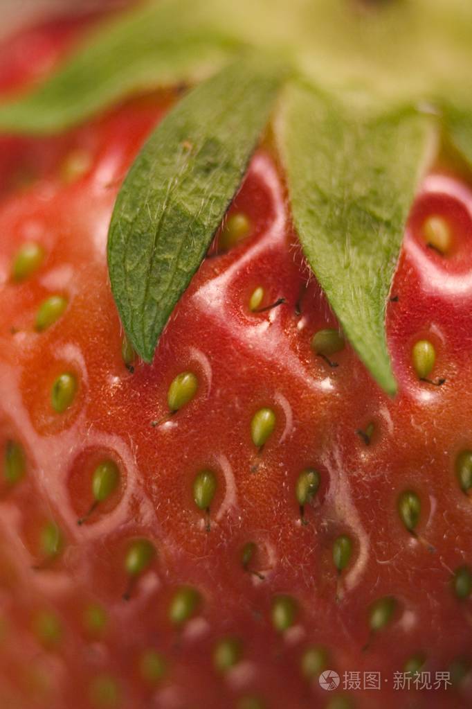 近距离拍摄美味草莓