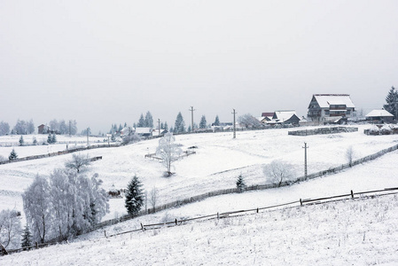 冬季乡村景观雪覆盖的树木和丘陵