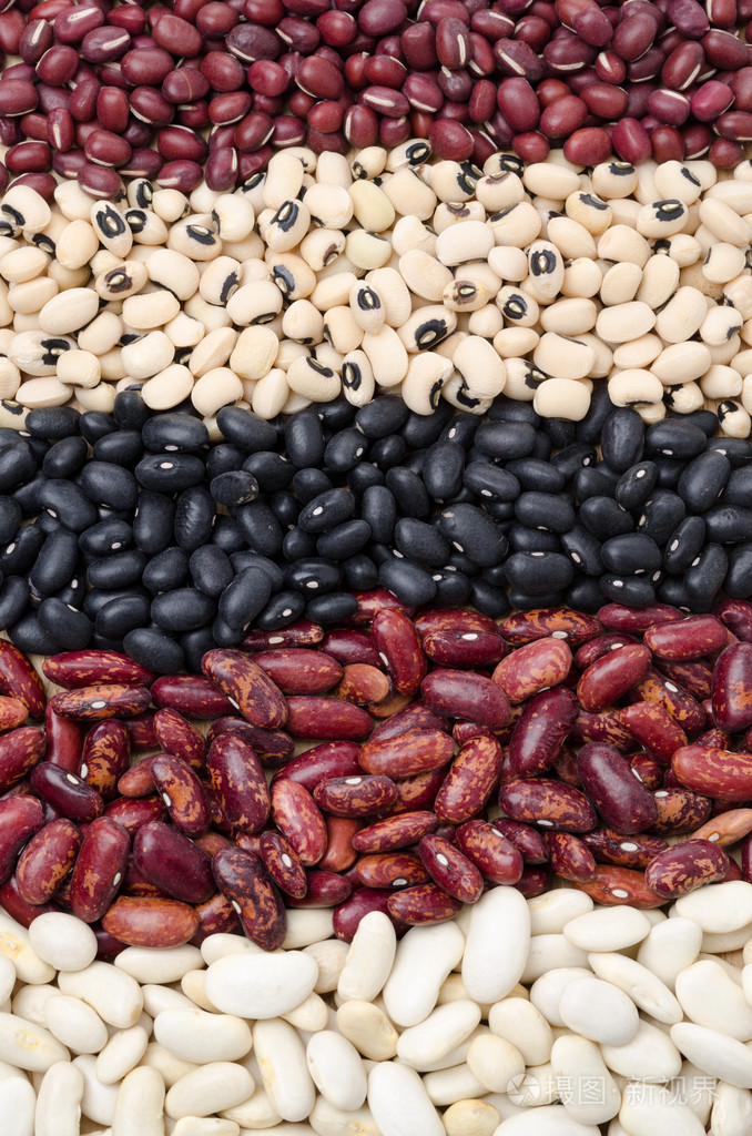 不同类型的bean垂直分类