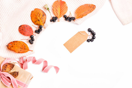 Woomen 柔和的米色粉红色毛衣, 干秋叶和野樱莓浆果的白色背景, 秋季, 秋季的概念, 秋季购物和折扣的概念。平躺, 顶部视