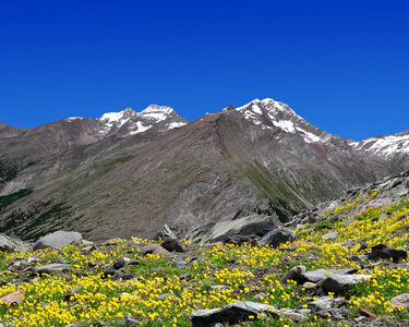 lagginhorn 和 weissmies