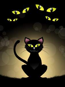 万圣节的黑猫