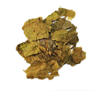 中草药桑叶图片