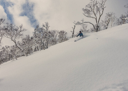 雪林滑雪深粉